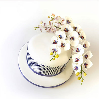 Decorative cake with white flowers on a white background