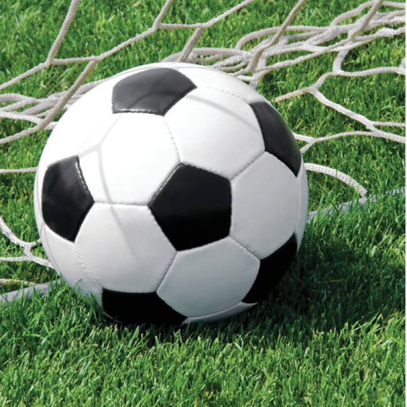 Soccer Ball party napkins pack of 18