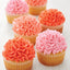 Decorated Cupcakes using tip 2D