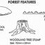 Three goutline drawings. Of a tree trunk, toadstool and grass strip showing how the cutters work by Jem