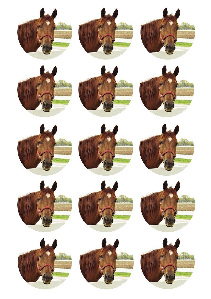 Design Sheet edible image  Horses head