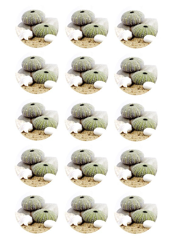 Design Sheet edible image  Kina shells