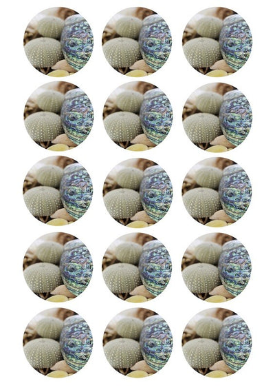 Design Sheet edible image Kina shells and paua