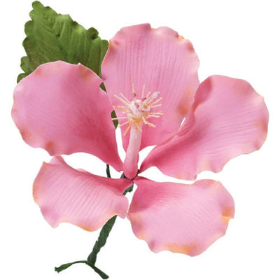 Hibiscus flower petal and leaf cutter set Wilton