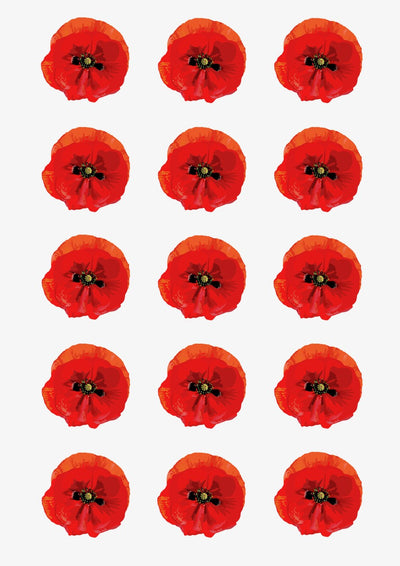 Design Sheet edible image Poppy Flowers