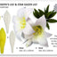 A set of two yellow cake decorating cutters with a lily and star gazer lily shape, accompanied by examples of the flowers created with the cutters.