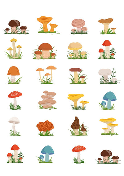 Character edible icing image sheet Toadstools or Mushrooms