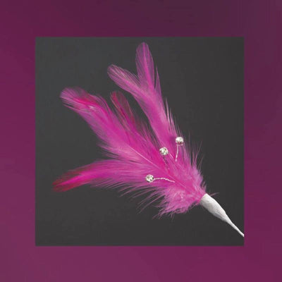 Hot Pink feathers (6)