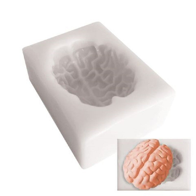 Brain silicone mould
