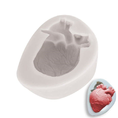 Aorta Heart silicone mould
