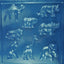 Zoo or jungle animals chocolate mould