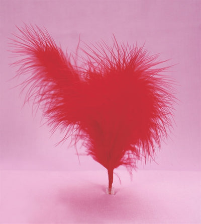 Red feathers (6)