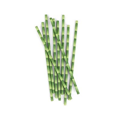 Bamboo design retro paper party straws (144)