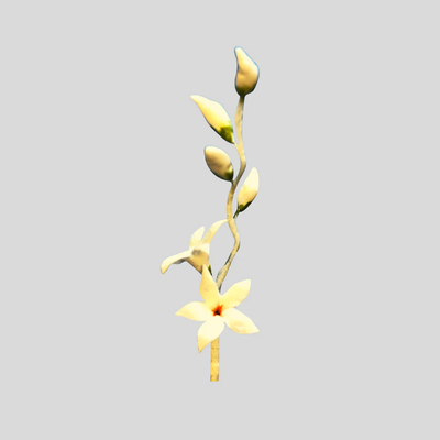 Finished Jasmine flower made from gumpaste icing