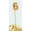 Long wooden pick candle Number 6 Gold Glitter