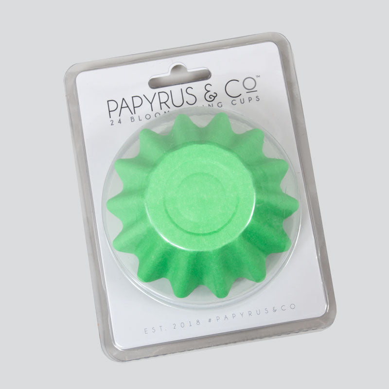 BLOOM BAKING CUPS CUPCAKE PAPERS 24 PACK Pastel Green